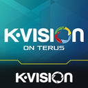 KVISION & GOL