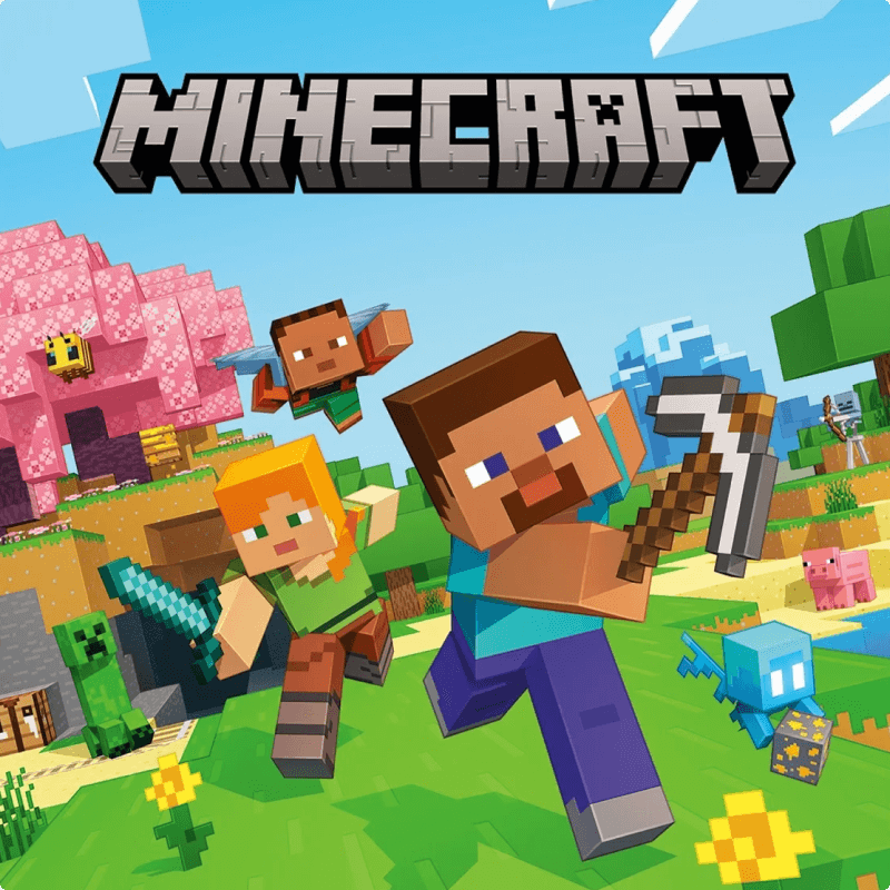 Voucher Minecraft